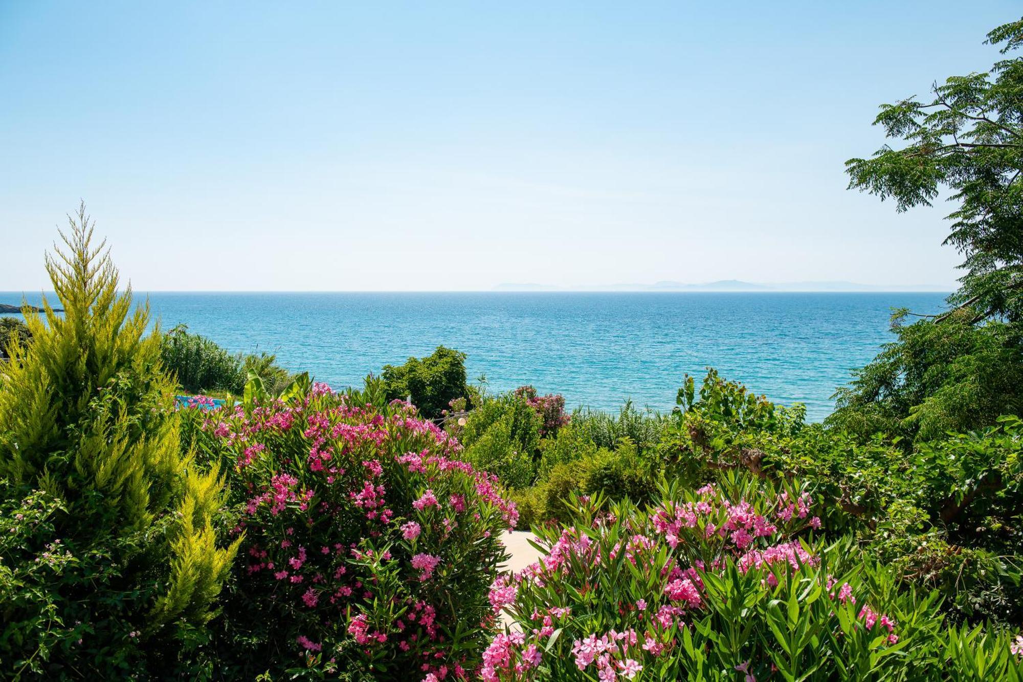 Mare Dei Suites Hotel Ionian Resort スカフィディア エクステリア 写真
